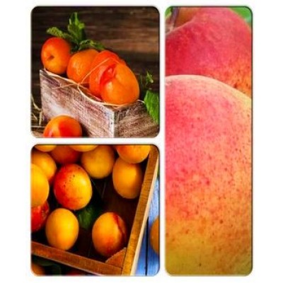 Абрикос > коллекция из 3-х сортов: Абрикос Аврора => Абрикос Спринг Блаш => Абрикос Хачалаба